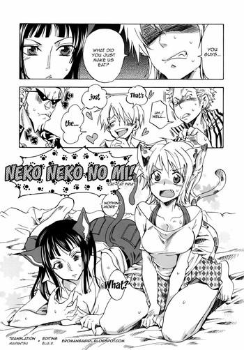 Neko Neko No Mi- One piece hentai