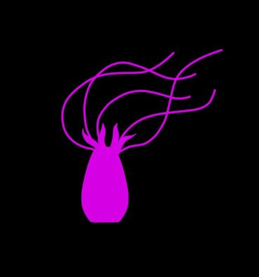 Cuzinho Pink Tentacle Creature- Original hentai Lesbo