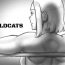 Gay Longhair Wildcats Gostosa