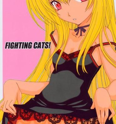 Tinder Fighting Cats!- Black cat hentai Petera